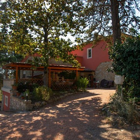 Agriturismo Terre Della Rinascita Castelnuovo della Misericordia Eksteriør bilde