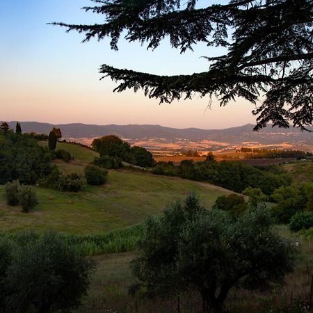 Agriturismo Terre Della Rinascita Castelnuovo della Misericordia Eksteriør bilde