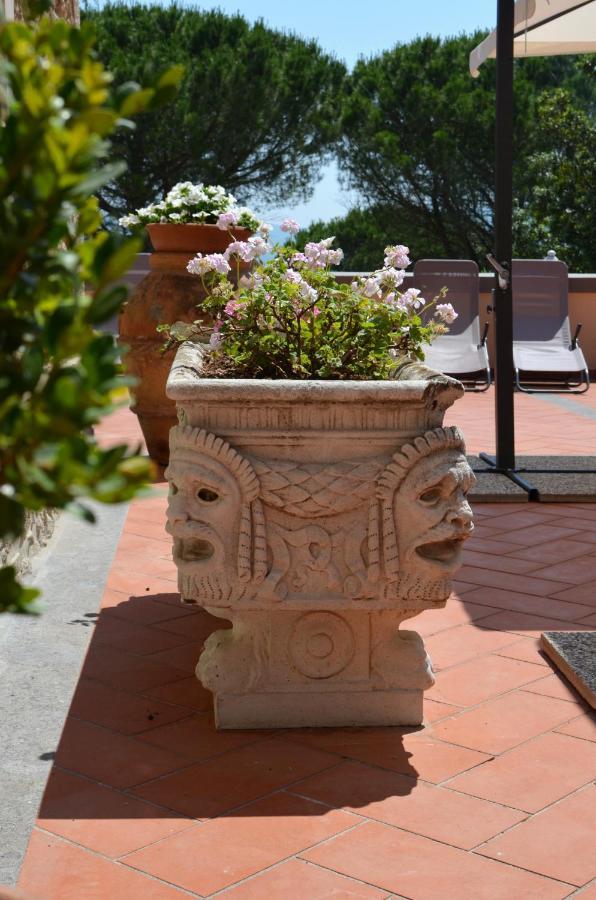 Agriturismo Terre Della Rinascita Castelnuovo della Misericordia Eksteriør bilde