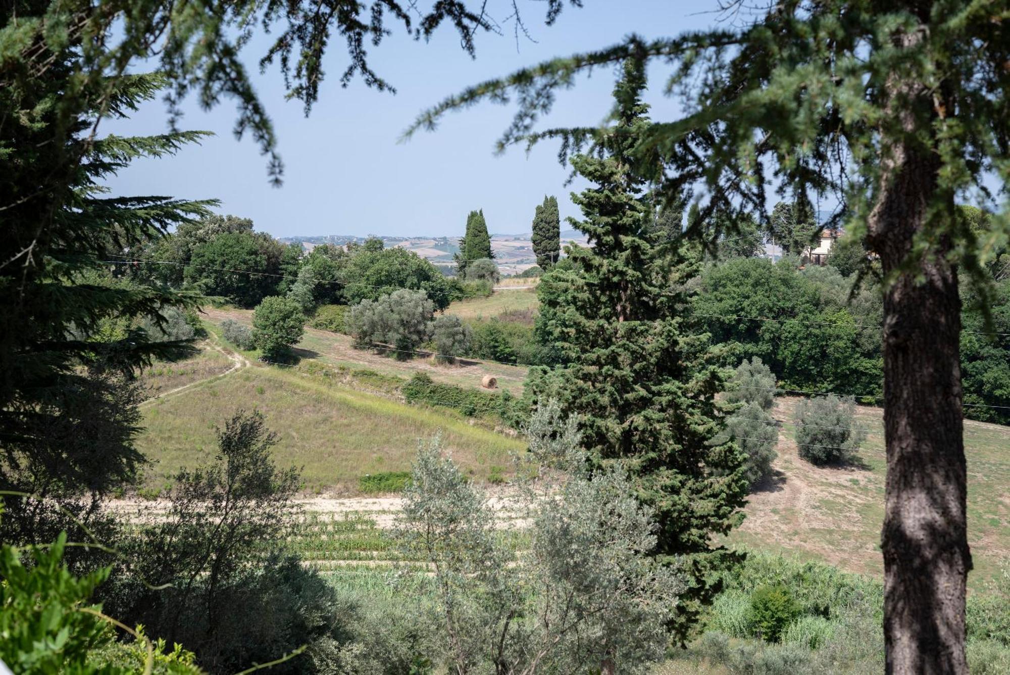 Agriturismo Terre Della Rinascita Castelnuovo della Misericordia Eksteriør bilde