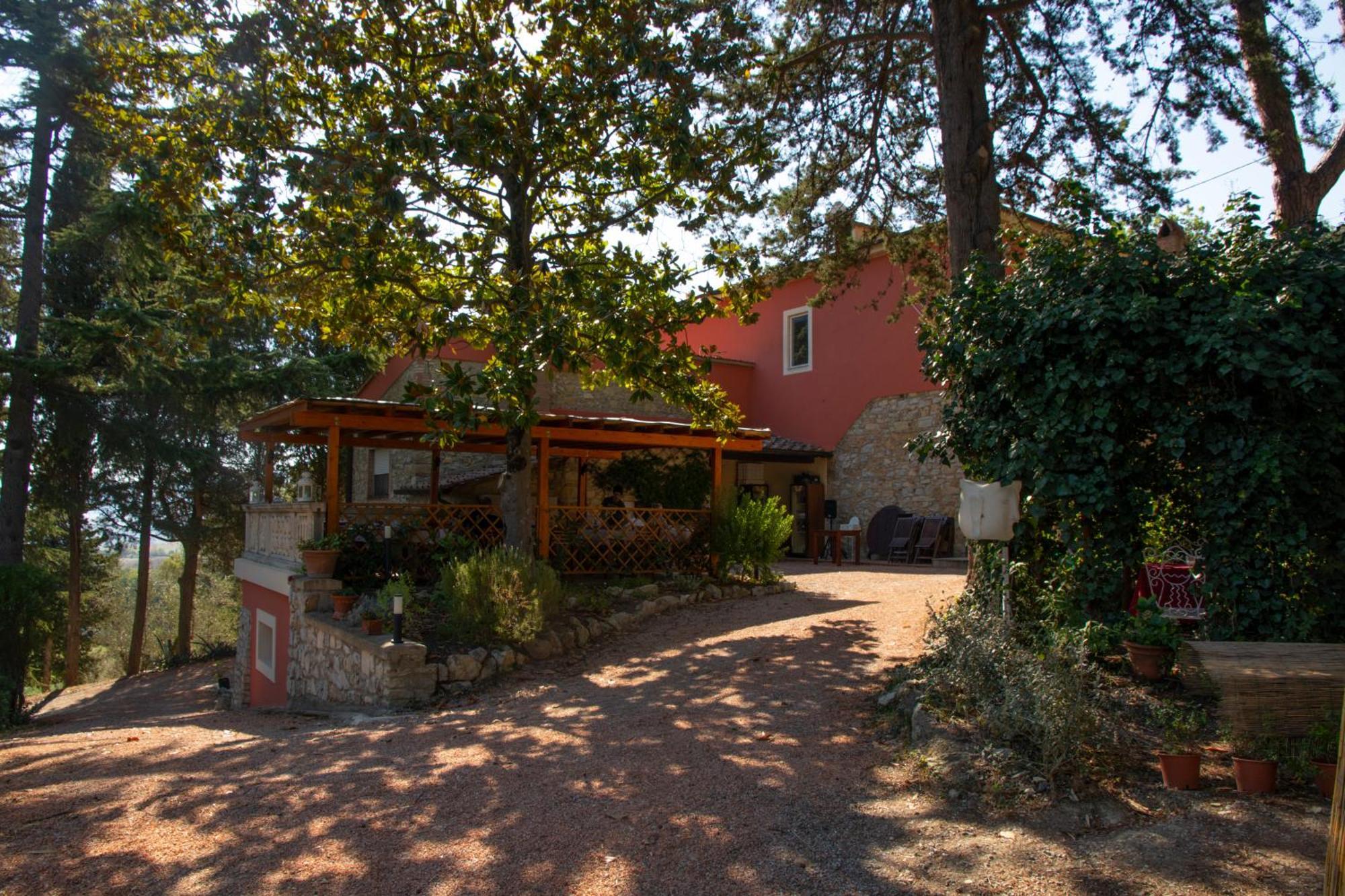 Agriturismo Terre Della Rinascita Castelnuovo della Misericordia Eksteriør bilde
