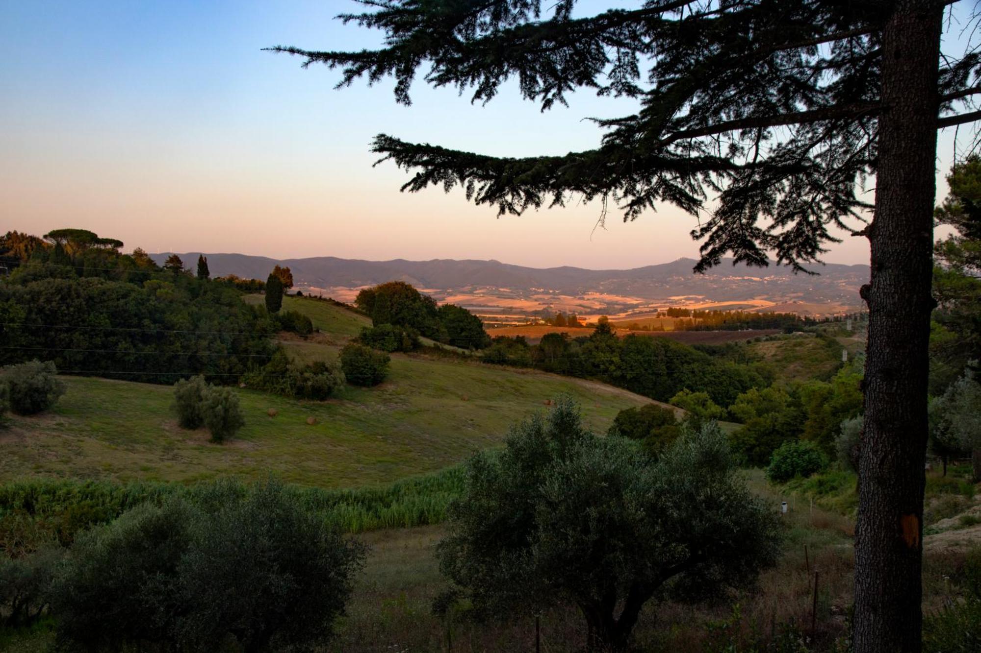 Agriturismo Terre Della Rinascita Castelnuovo della Misericordia Eksteriør bilde