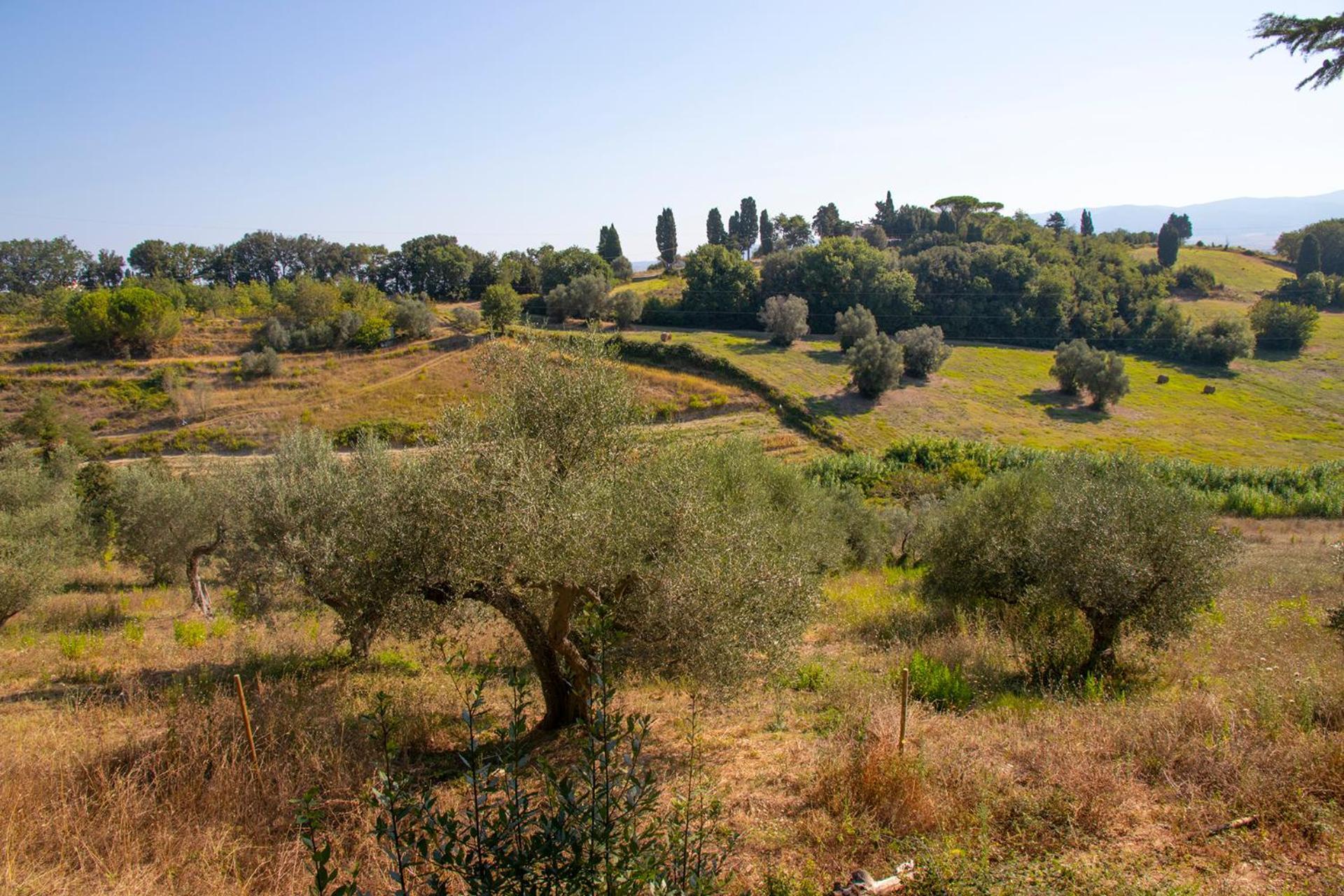 Agriturismo Terre Della Rinascita Castelnuovo della Misericordia Eksteriør bilde