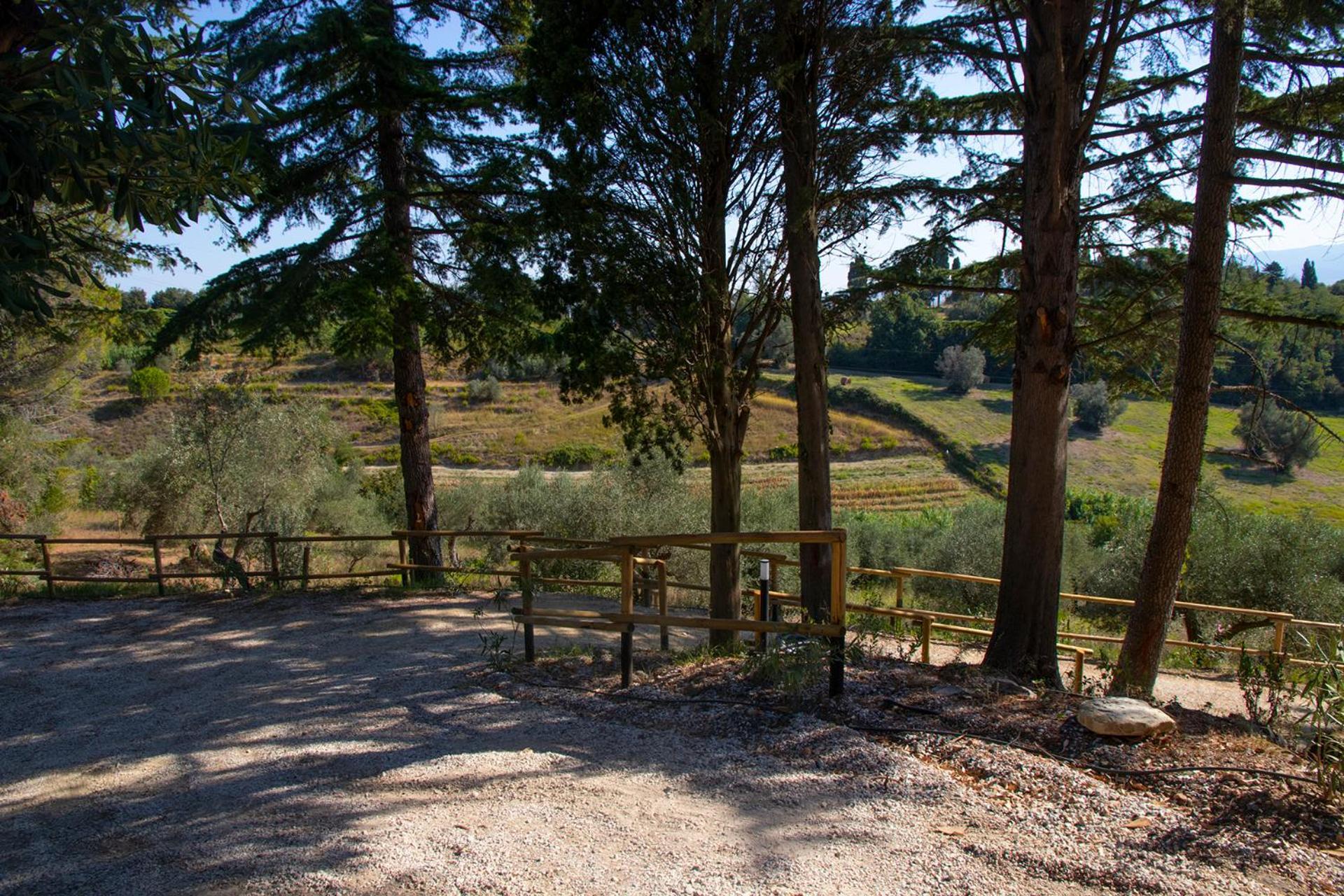 Agriturismo Terre Della Rinascita Castelnuovo della Misericordia Eksteriør bilde